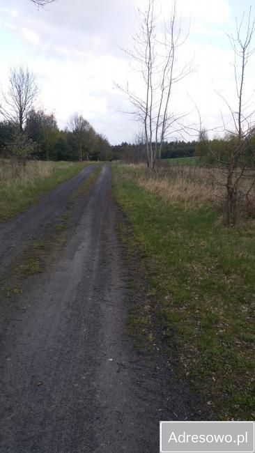 Działka rekreacyjna Chłopowo. Zdjęcie 3