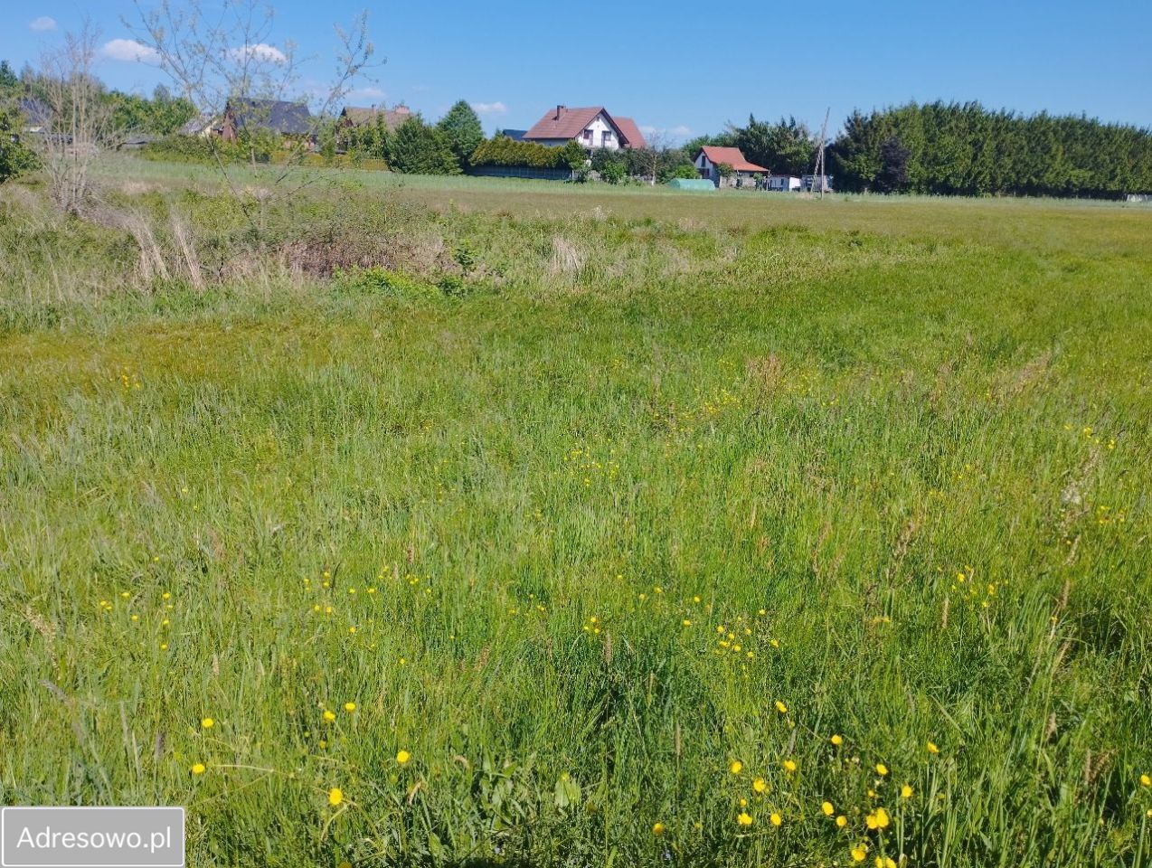Działka rolno-budowlana Nowogród Bobrzański. Zdjęcie 5