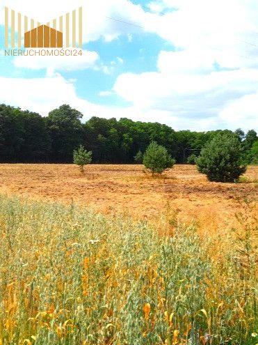 Działka budowlana Mrozy. Zdjęcie 7