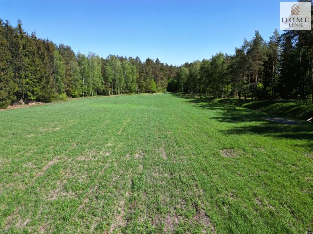 Działka rolna Elgnówko. Zdjęcie 9