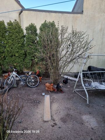 bliźniak, 5 pokoi Gościm. Zdjęcie 12