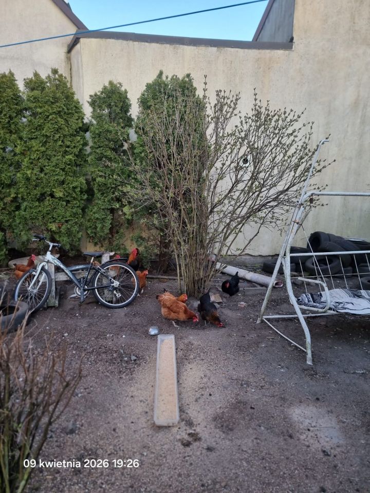 bliźniak, 5 pokoi Gościm, 28a. Zdjęcie 12