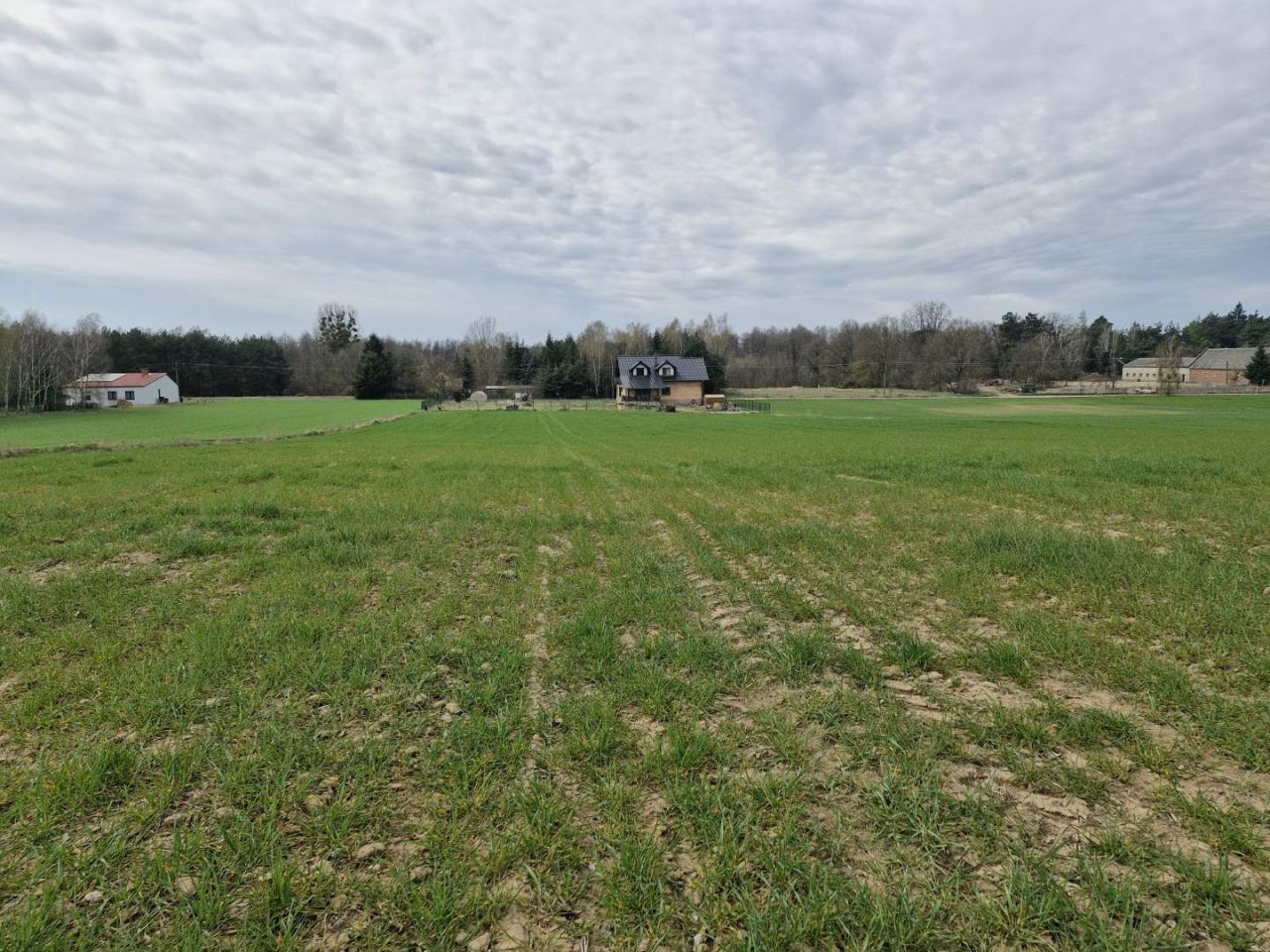 Działka budowlana Lubocześnica. Zdjęcie 6