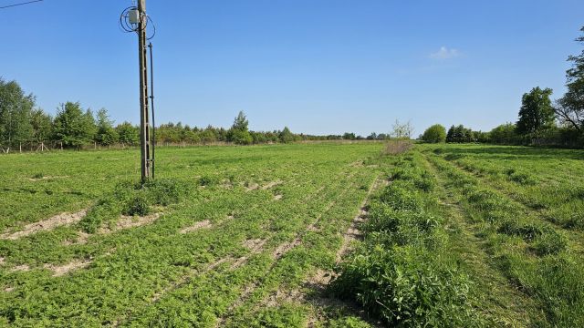Działka rolno-budowlana Piekary. Zdjęcie 1