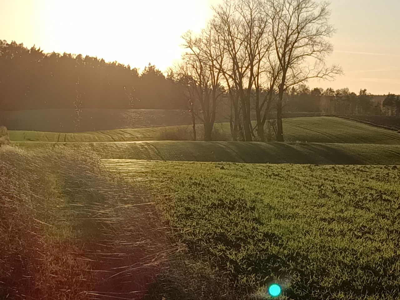 Działka rolno-budowlana Niedamowo. Zdjęcie 32