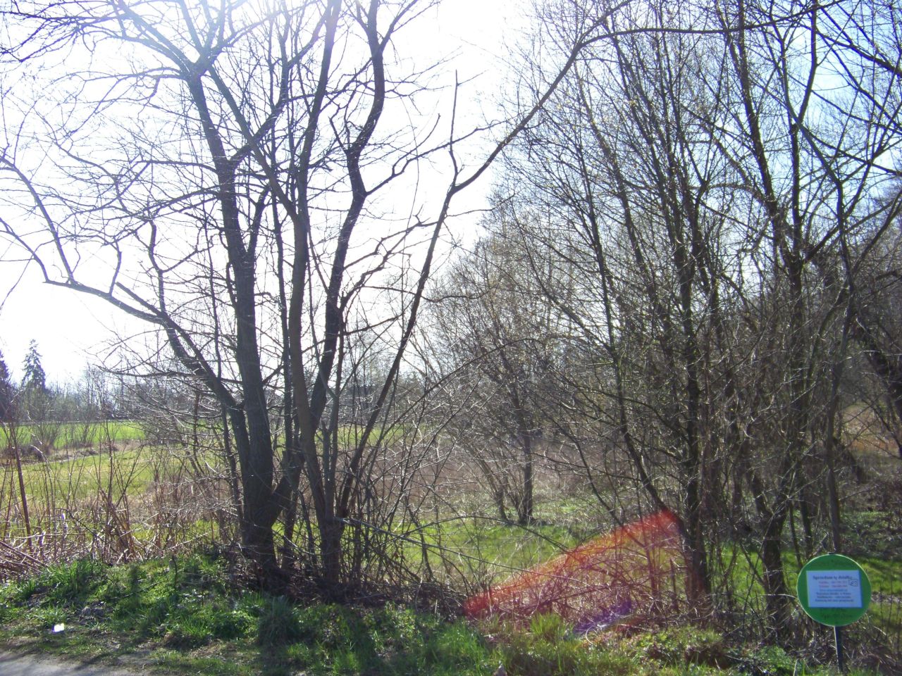 Działka rolna Kozły-Janowo. Zdjęcie 3