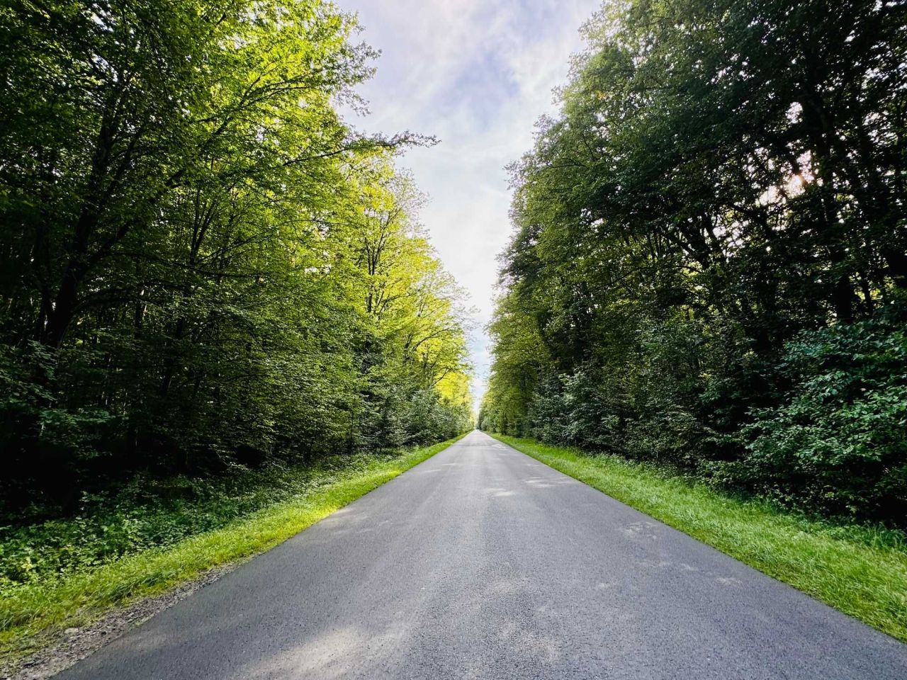 Działka budowlana Stany. Zdjęcie 6