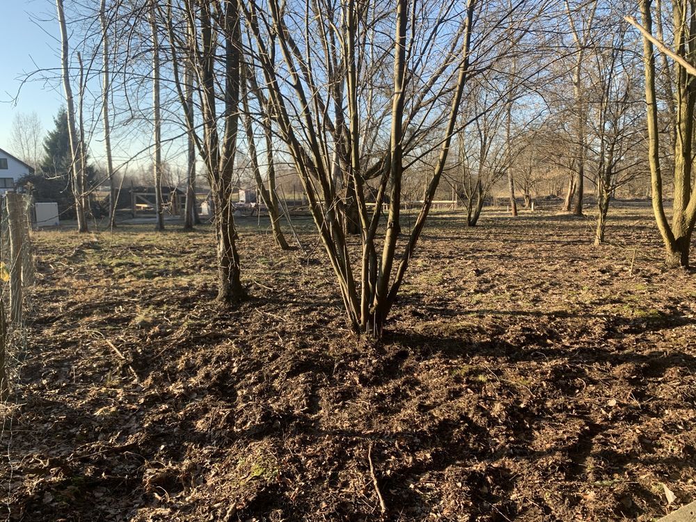 Działka budowlana Kanie, ul. Małej Łąki. Zdjęcie 6