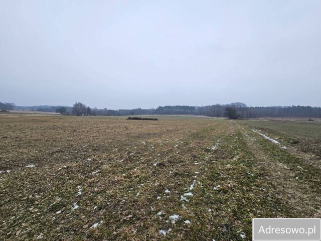 Działka budowlana Łazy Wielkie. Zdjęcie 1