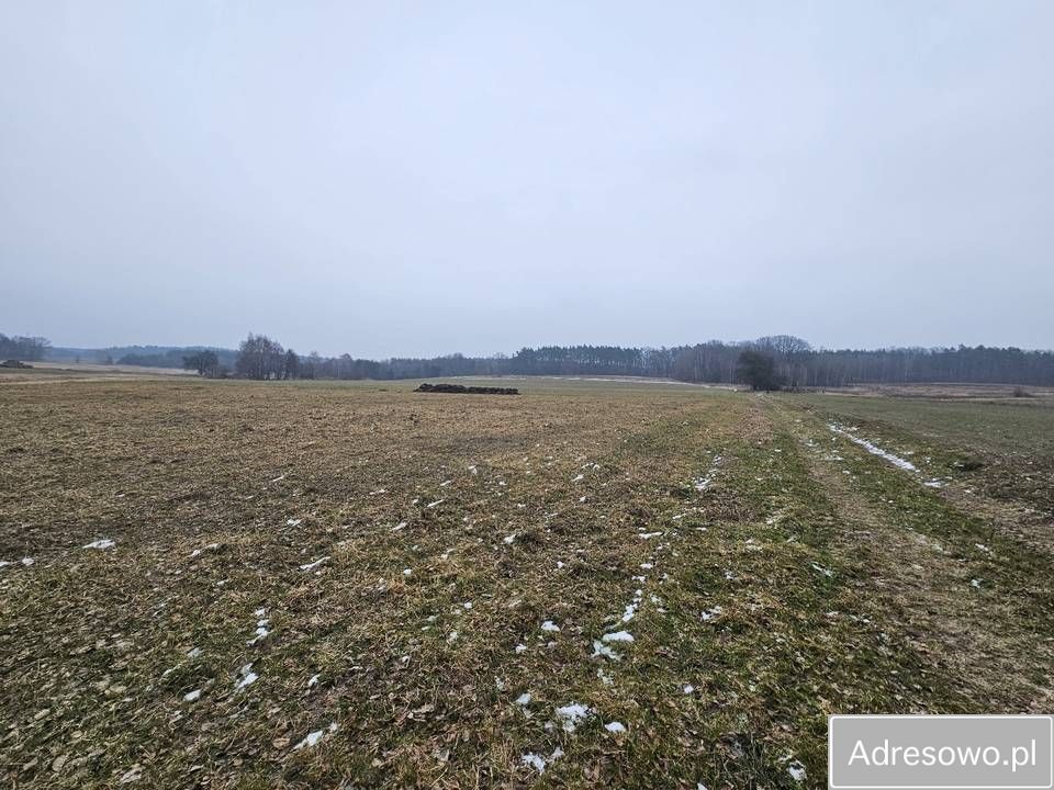 Działka budowlana Łazy Wielkie. Zdjęcie 1