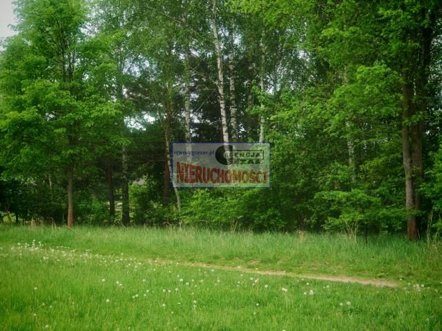 Działka rolno-budowlana Dłużew. Zdjęcie 1