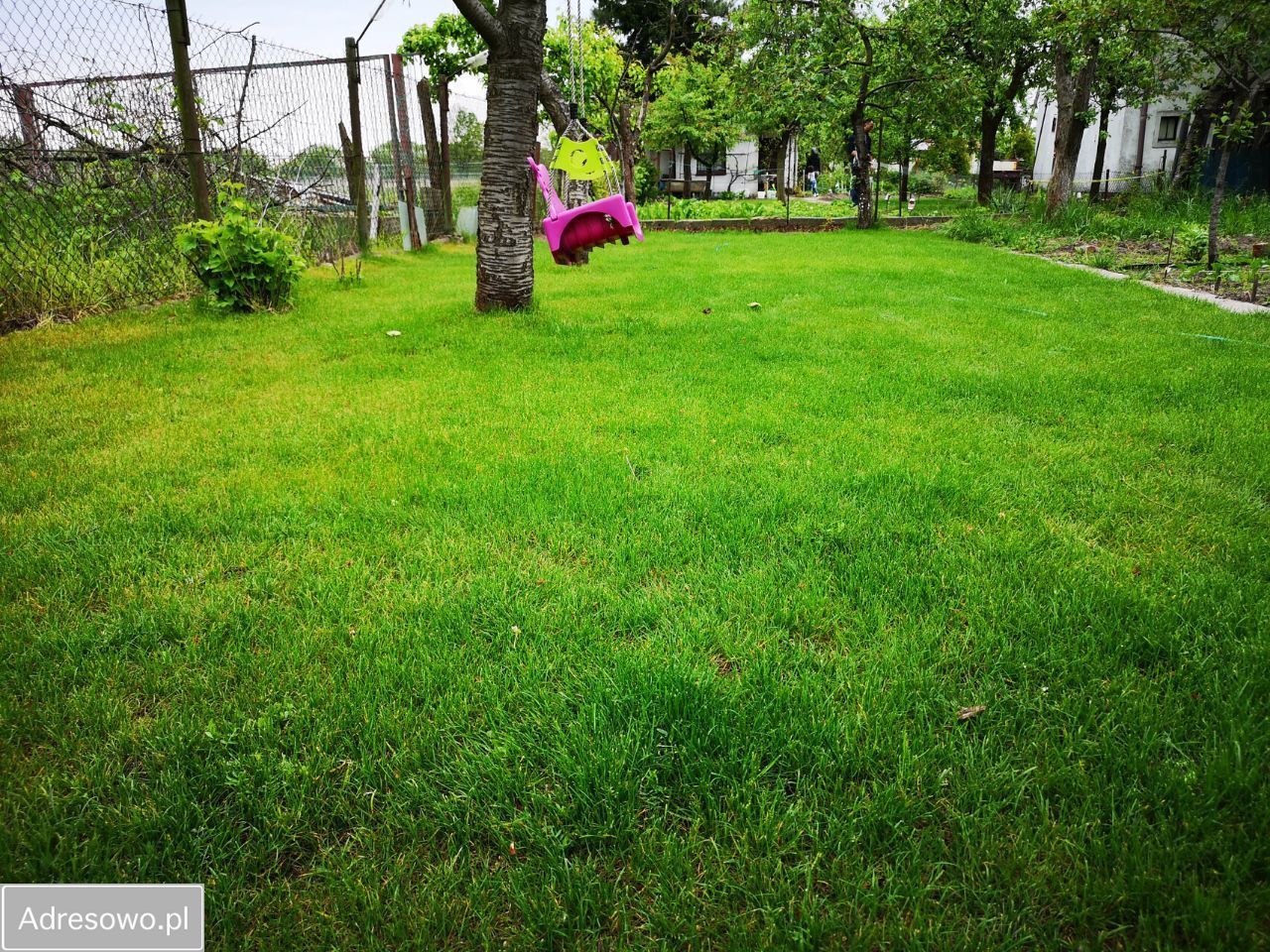 Działka rod Wrocław Psie Pole, ul. Kątowa. Zdjęcie 5