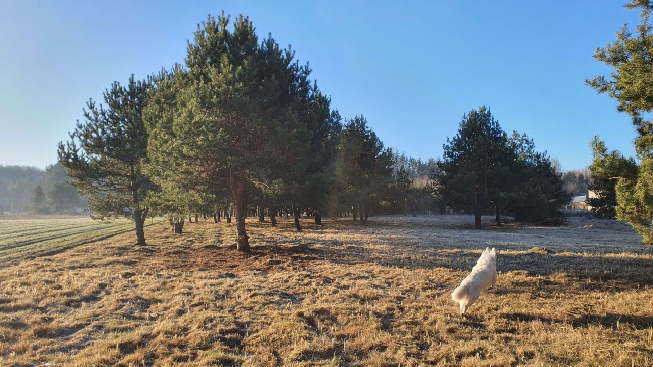 Działka budowlana Skarbka Bidzińszczyzna. Zdjęcie 13