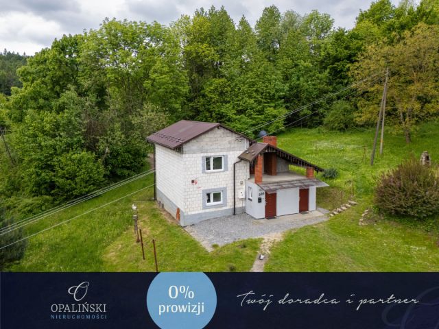 dom wolnostojący, 4 pokoje Łopuszka Wielka. Zdjęcie 1