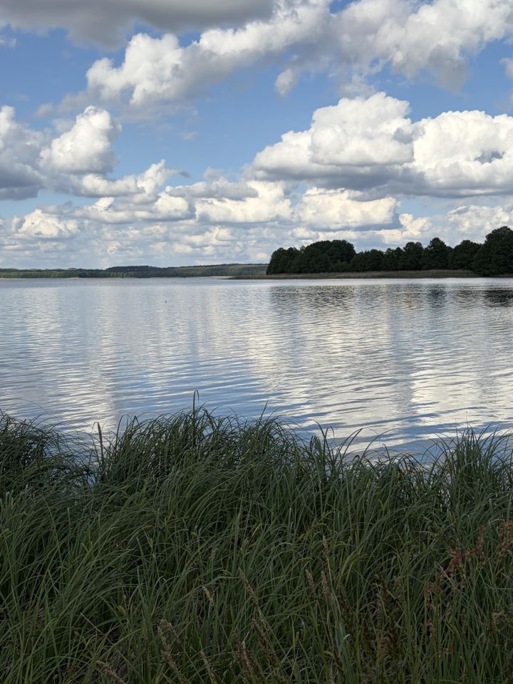 Działka rolna Kruszyn. Zdjęcie 8