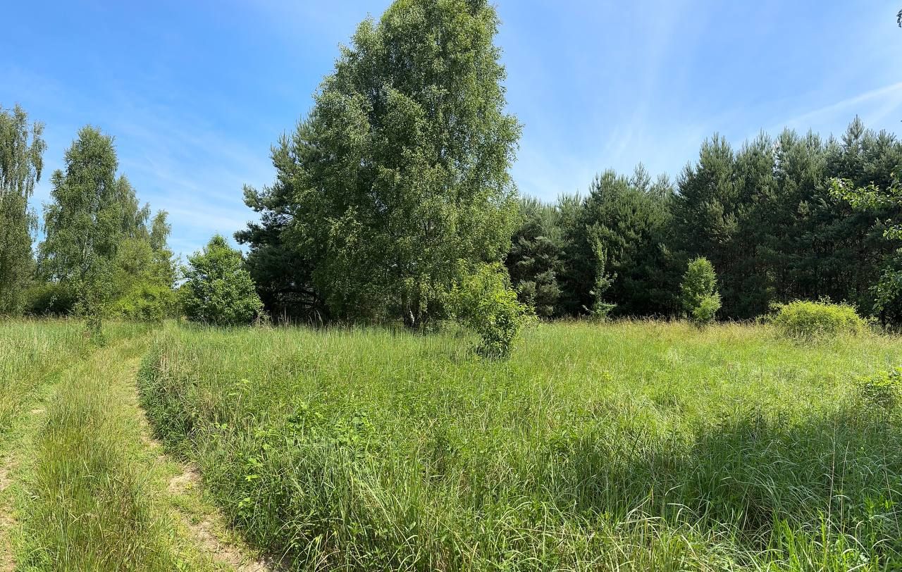 Działka rolna Trzebule. Zdjęcie 5