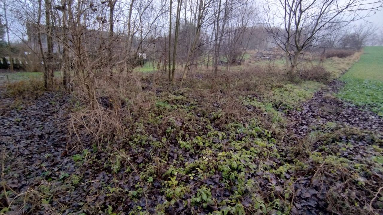Działka budowlana Targowisko. Zdjęcie 4
