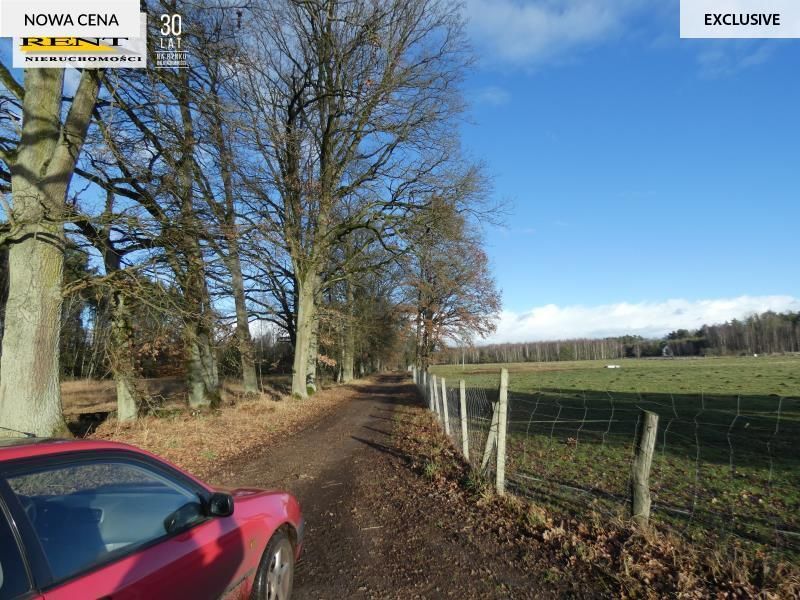 Działka budowlana Krzywice. Zdjęcie 13