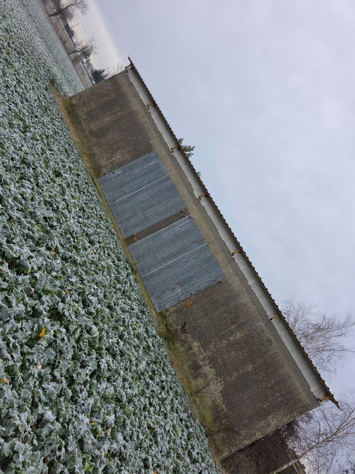 Działka budowlana Stróżewo. Zdjęcie 7