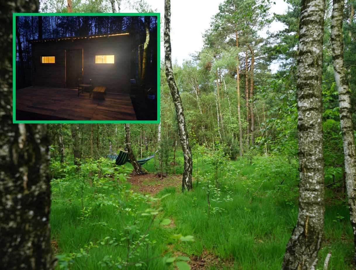 Działka leśna Rzgów. Zdjęcie 3