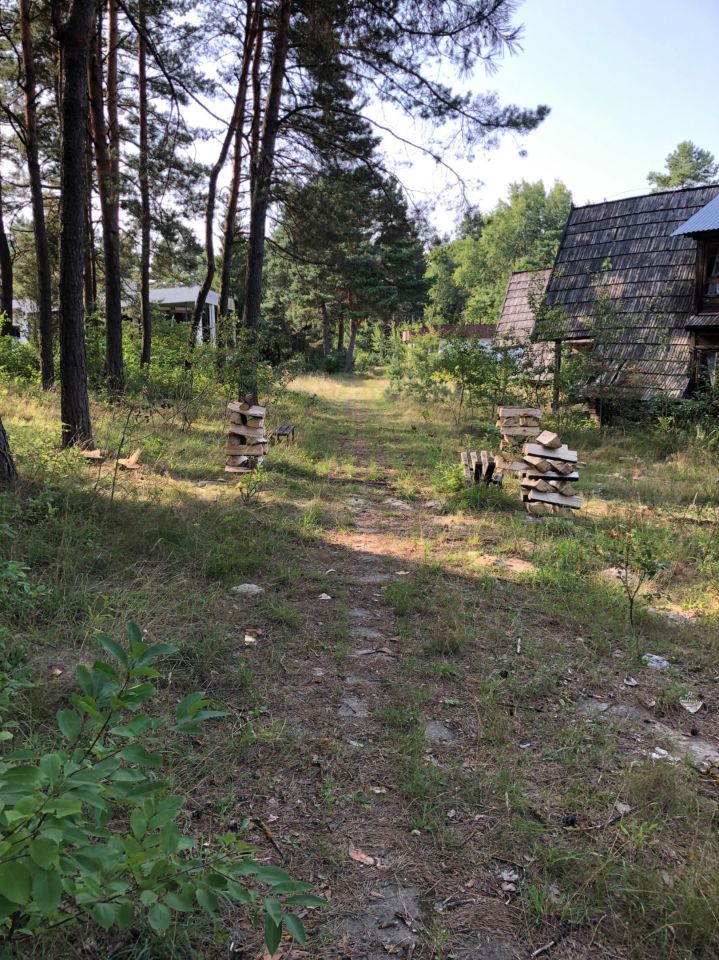 Działka inwestycyjna Majdan Sopocki Drugi. Zdjęcie 6