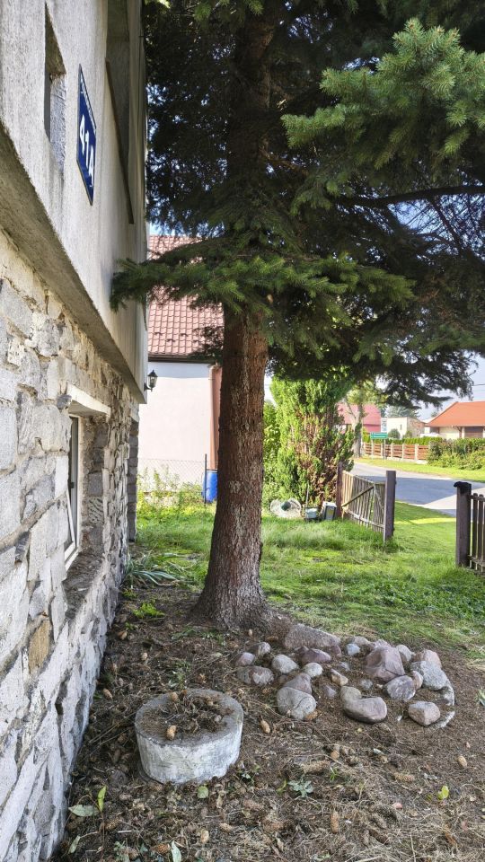dom wolnostojący, 4 pokoje Piskorzówek. Zdjęcie 3