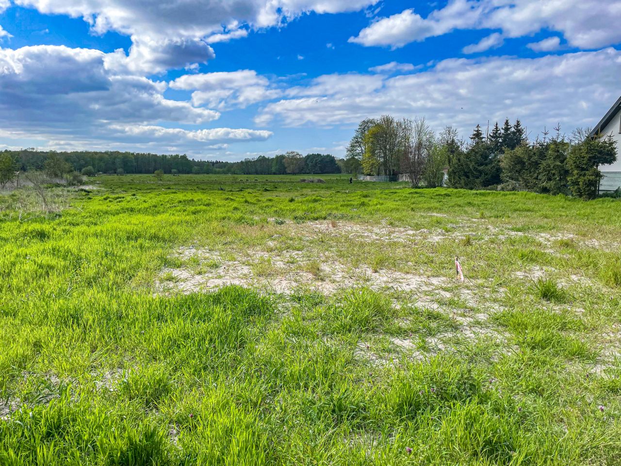 Działka rolno-budowlana Warnołęka. Zdjęcie 12