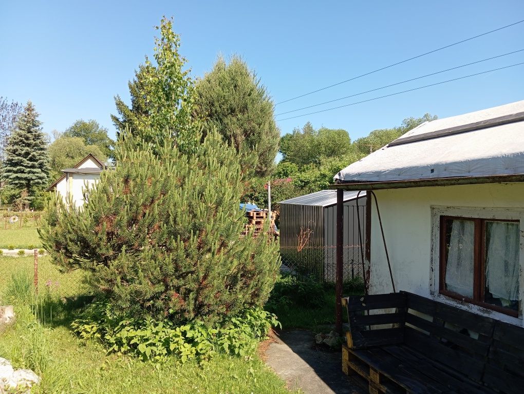 Działka rod Nysa, ul. Saperska. Zdjęcie 7