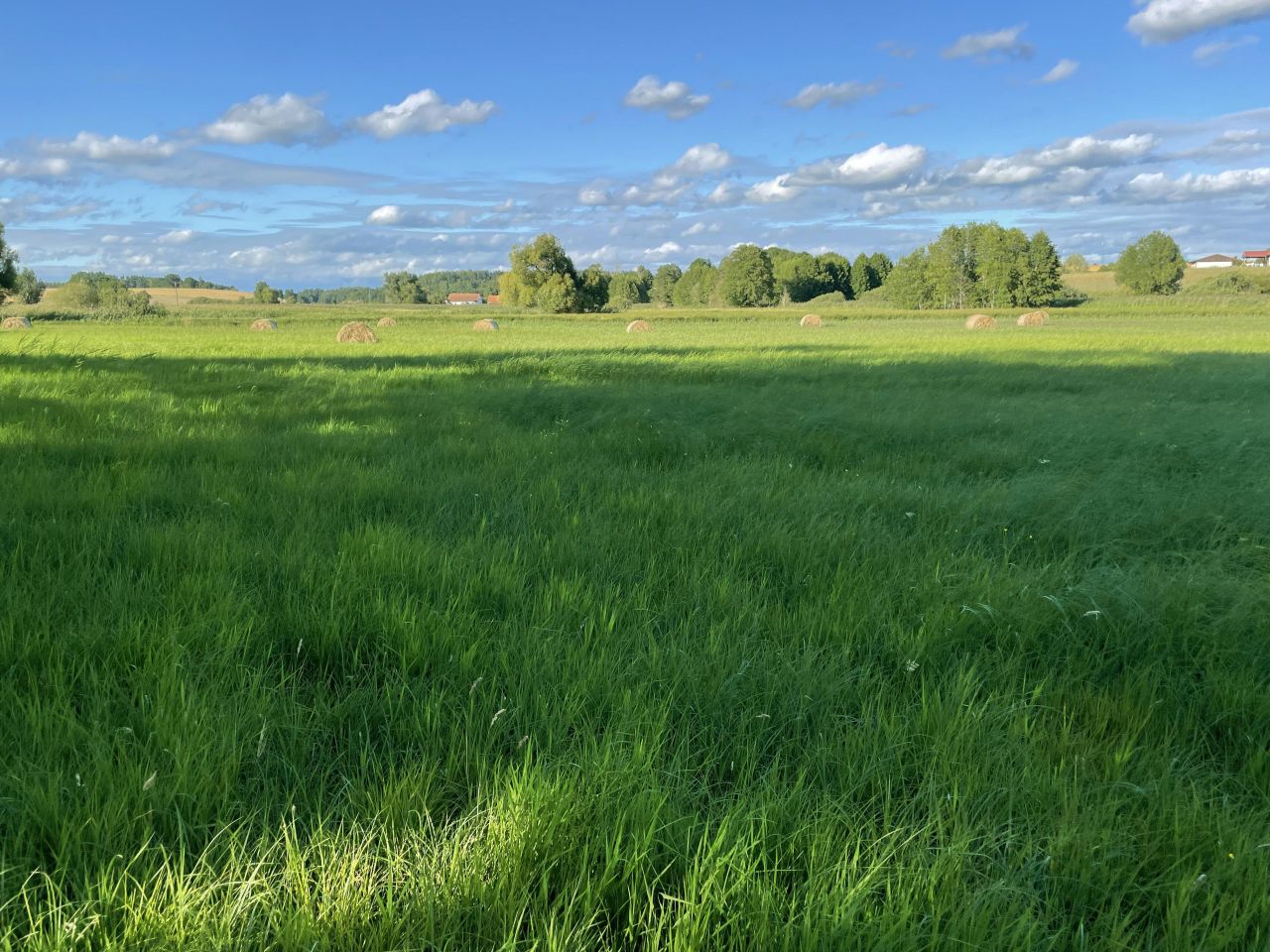 Działka rolno-budowlana Idzbark Idzbarski Młyn. Zdjęcie 2