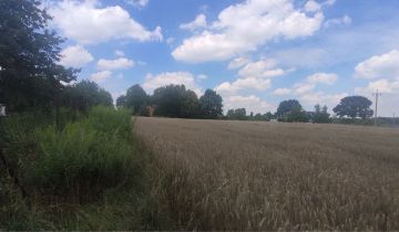 Działka rolno-budowlana Ługi