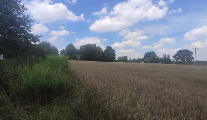 Działka rolno-budowlana Ługi