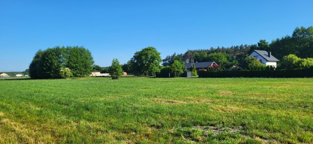 Działka rolno-budowlana Wilków. Zdjęcie 1