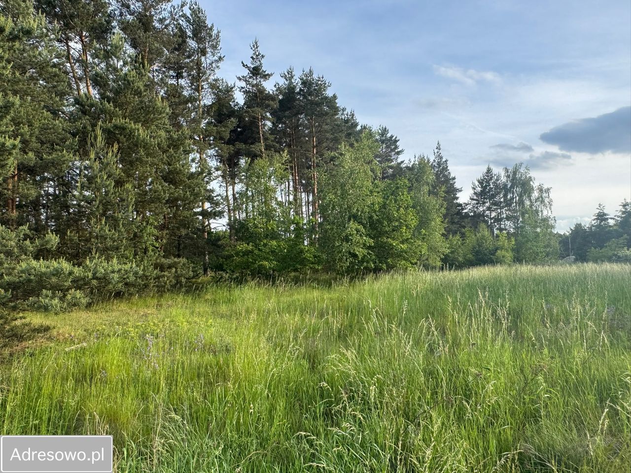 Działka budowlana Nowy Dwór. Zdjęcie 6
