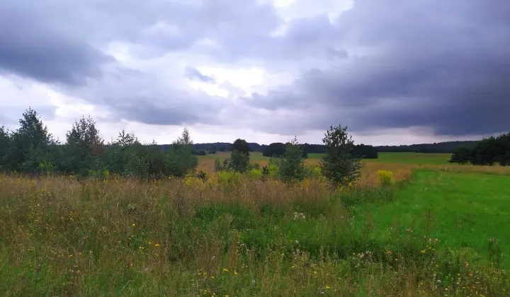 Działka budowlana Cybulki