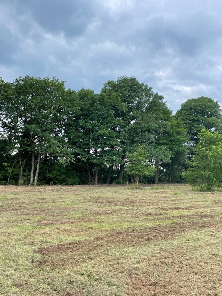 Działka budowlana Nowa Kuźnia. Zdjęcie 5