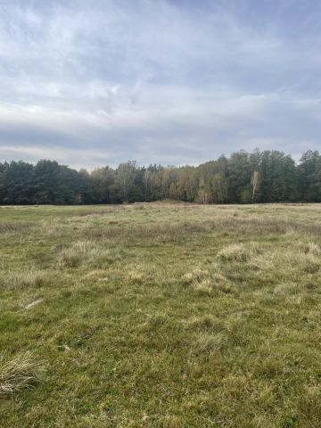 Działka rolno-budowlana Lubiszewice. Zdjęcie 1
