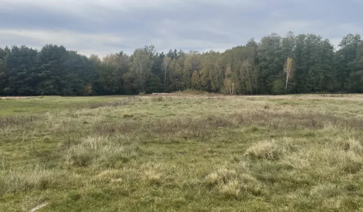 Działka rolno-budowlana Lubiszewice