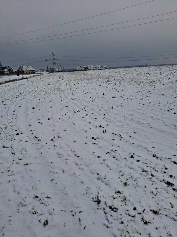 Działka budowlana Daszewice. Zdjęcie 4