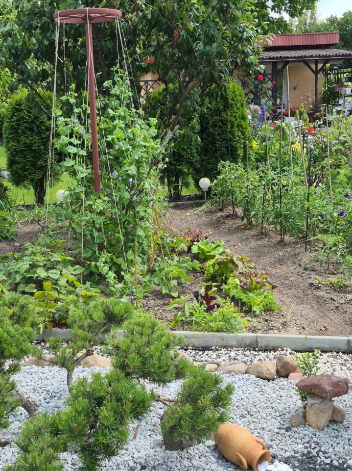 Działka rod Ostrów Wielkopolski. Zdjęcie 7