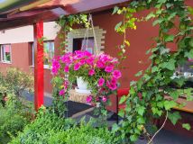 dom wolnostojący, 5 pokoi Żukowice. Zdjęcie 2