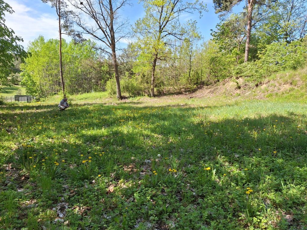 Działka rekreacyjna Kiełpiny. Zdjęcie 4