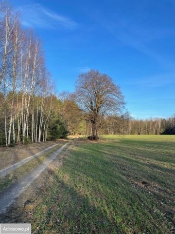 Działka budowlana Grzegorzewice, ul. Popiele. Zdjęcie 1