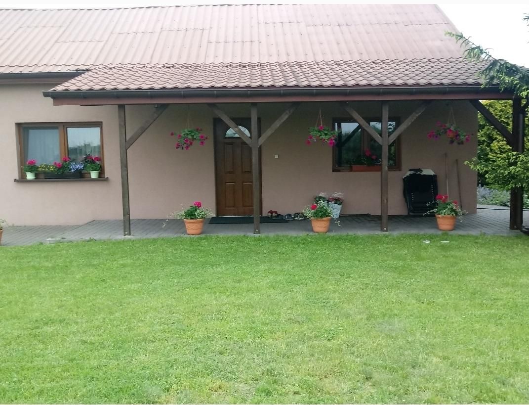 Działka rolna Aleksandria. Zdjęcie 3