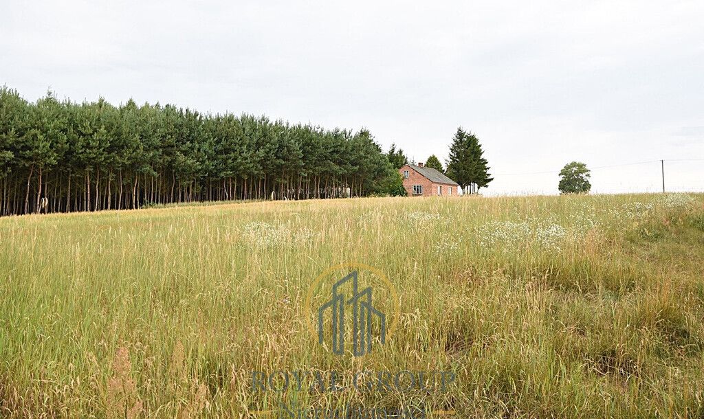 Działka siedliskowa Górka. Zdjęcie 8