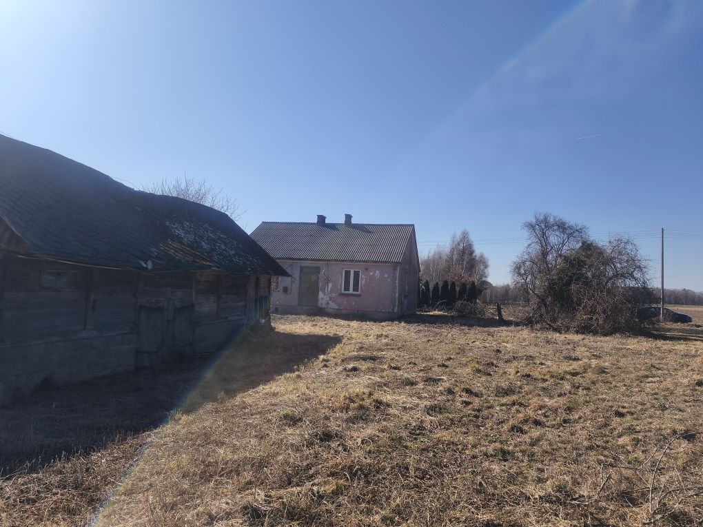 dom wolnostojący, 3 pokoje Zastawie-Kolonia. Zdjęcie 4