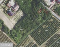 Działka Węgrce Panieńskie. Zdjęcie 1