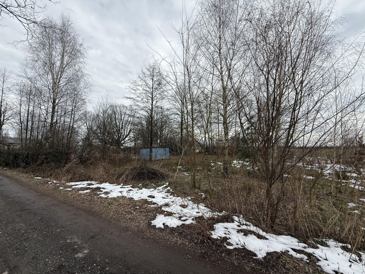 Działka rekreacyjna Czyżemin. Zdjęcie 3