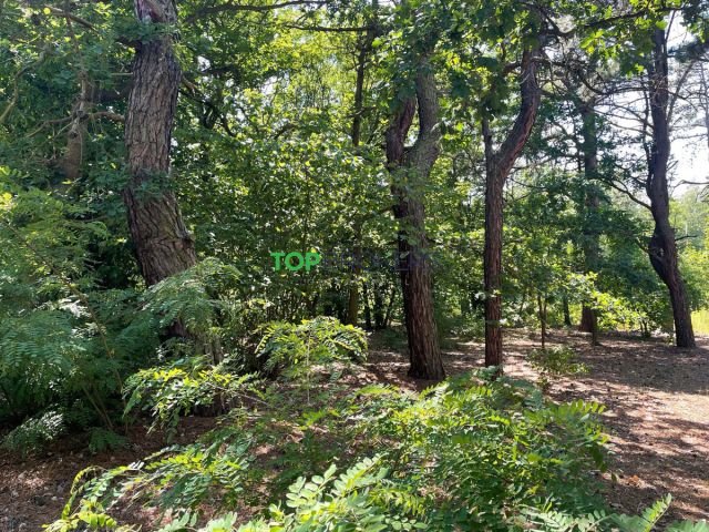 Działka budowlana Józefów. Zdjęcie 1