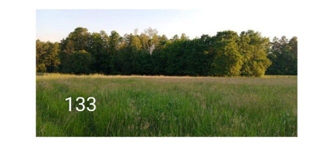 Działka rolna Malinówka. Zdjęcie 4