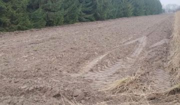 Działka rolna Rozkopaczew